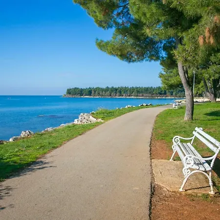 Apartament Studio In Novigrad Istrien 35888 *